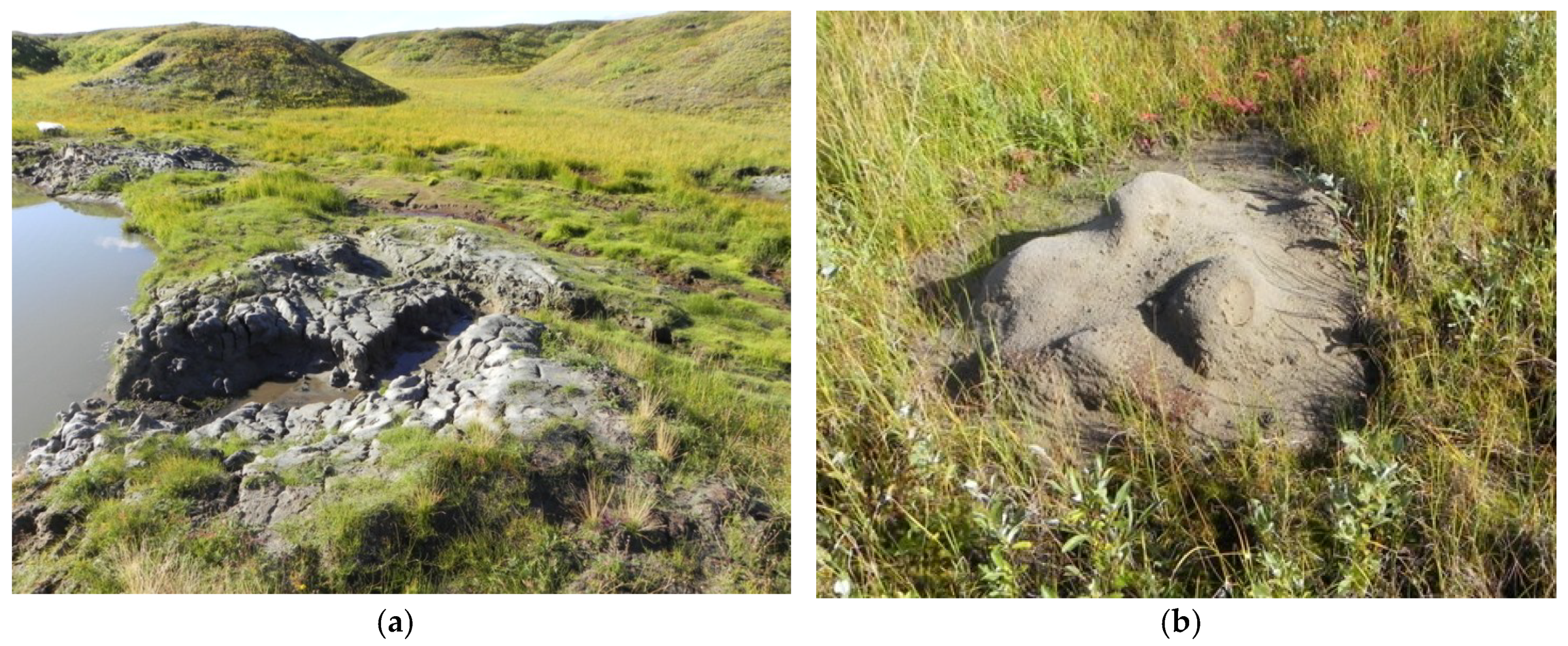 Remotesensing 10 00677 g012