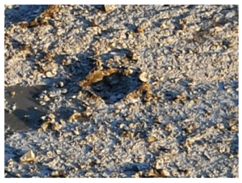 Remotesensing 10 00677 i002