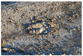 Remotesensing 10 00677 i003