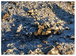 Remotesensing 10 00677 i007