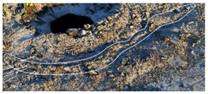 Remotesensing 10 00677 i008