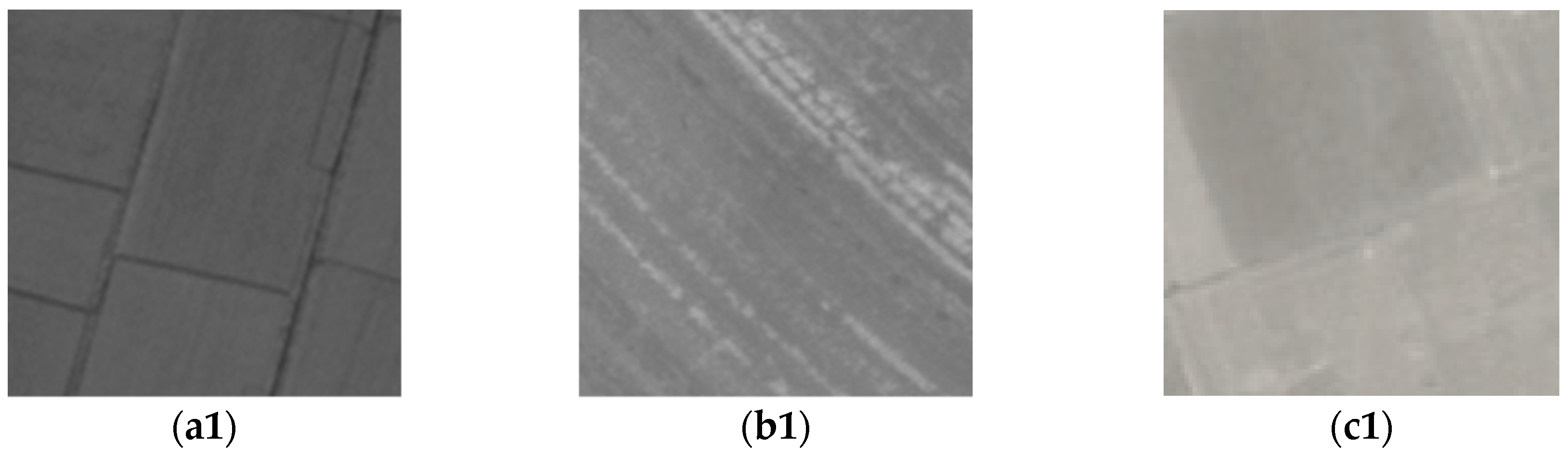 Remotesensing 10 00710 g001a