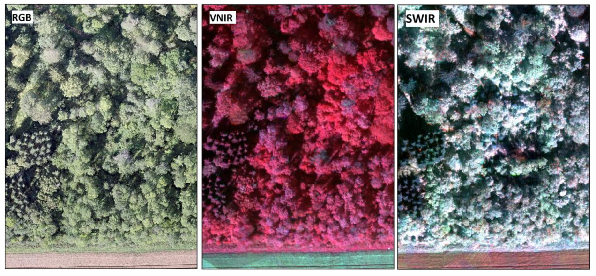 Remotesensing 10 00714 g004