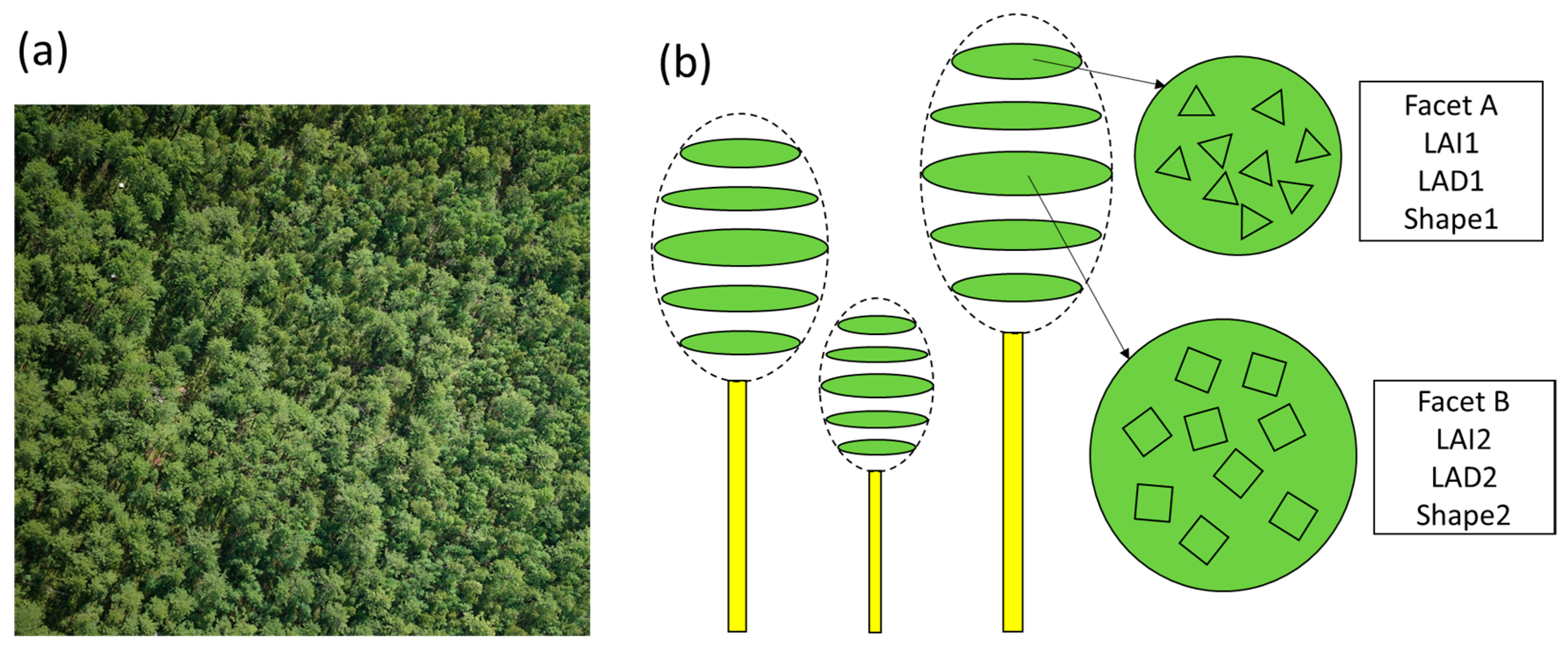 Remotesensing 10 00736 g001