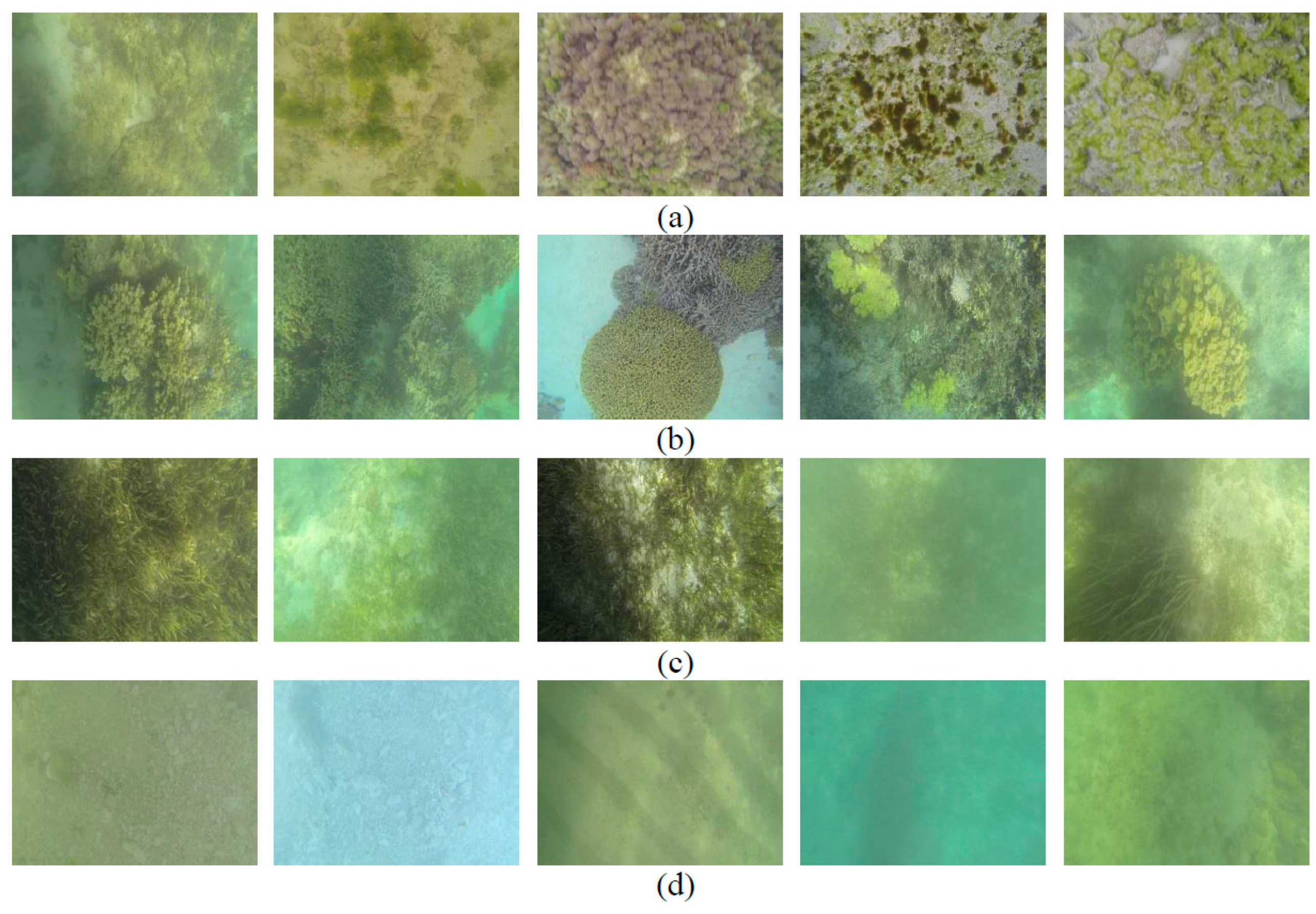 Remotesensing 10 00773 g002