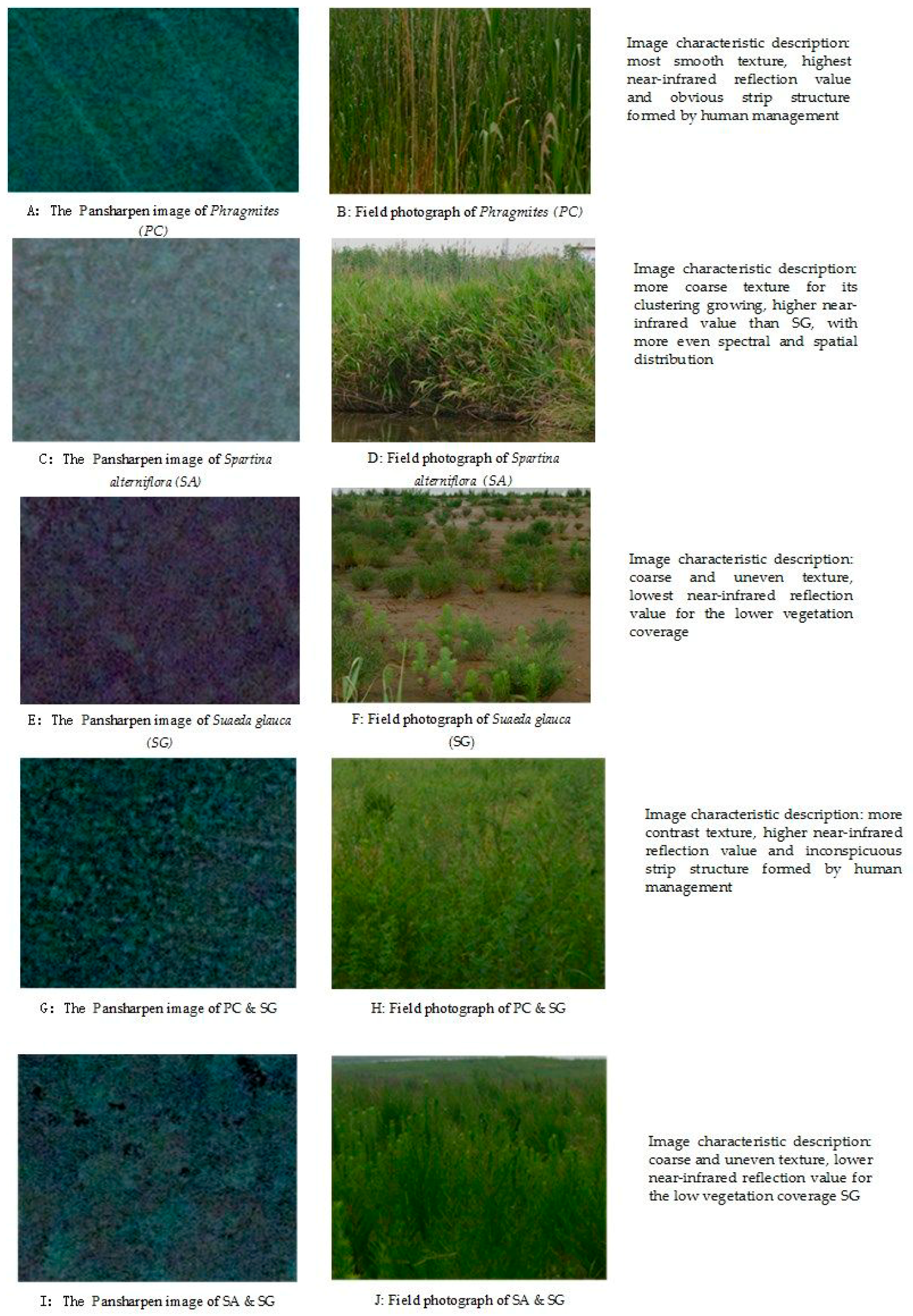 Remotesensing 10 00778 g002 Remotesensing 10 00778 g002