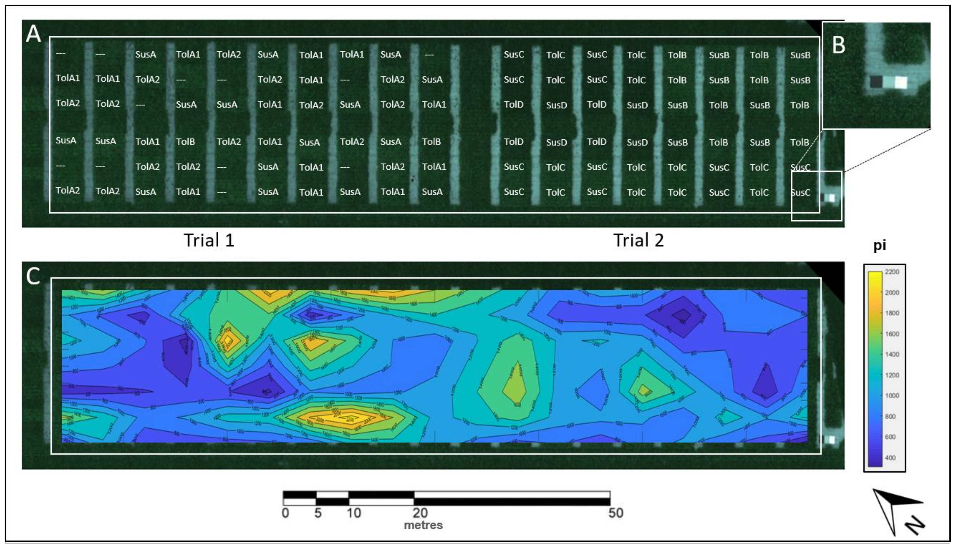 Remotesensing 10 00787 g001