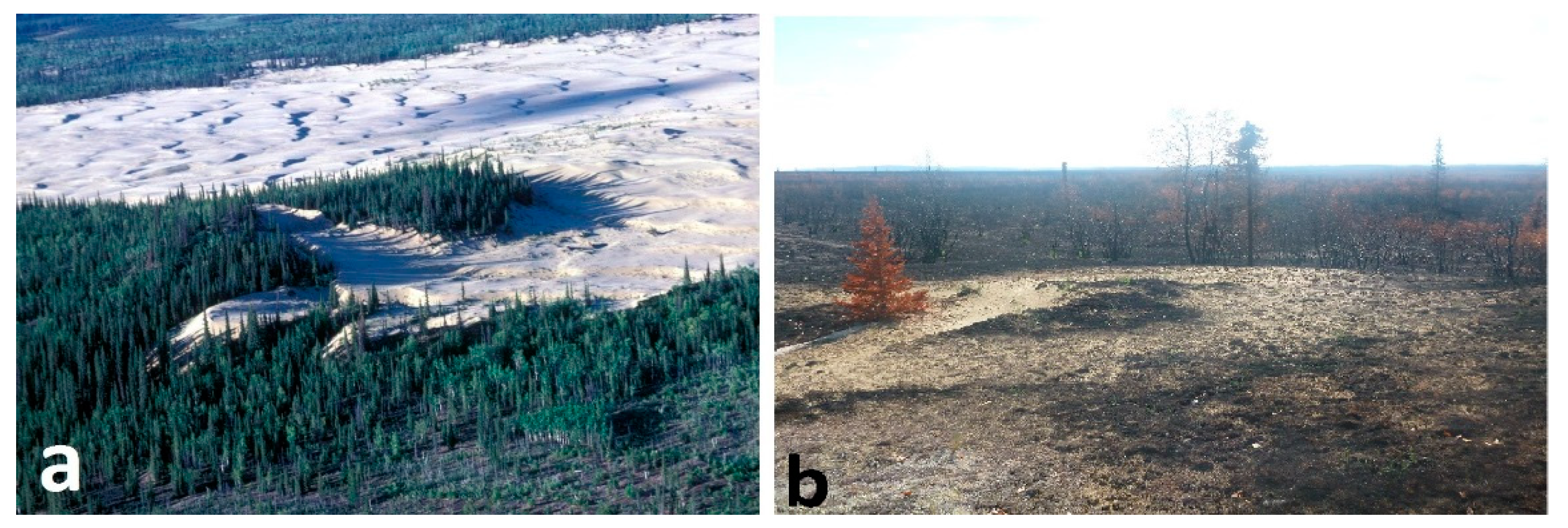 Remotesensing 10 00792 g011