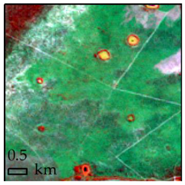 Remotesensing 10 00808 i002