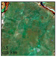 Remotesensing 10 00808 i004