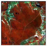 Remotesensing 10 00808 i006