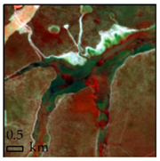 Remotesensing 10 00808 i008