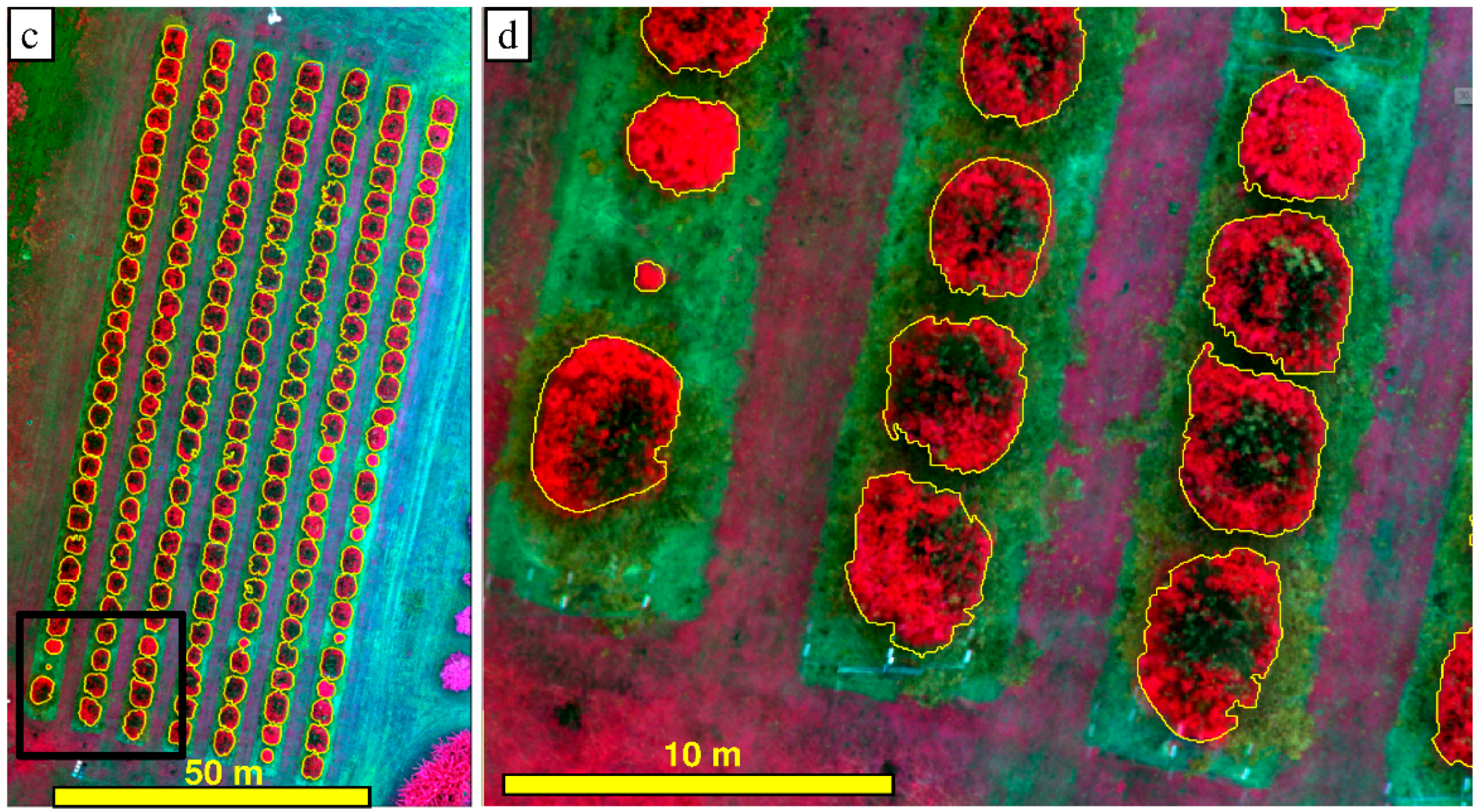 Remotesensing 10 00854 g006b Remotesensing 10 00854 g006b