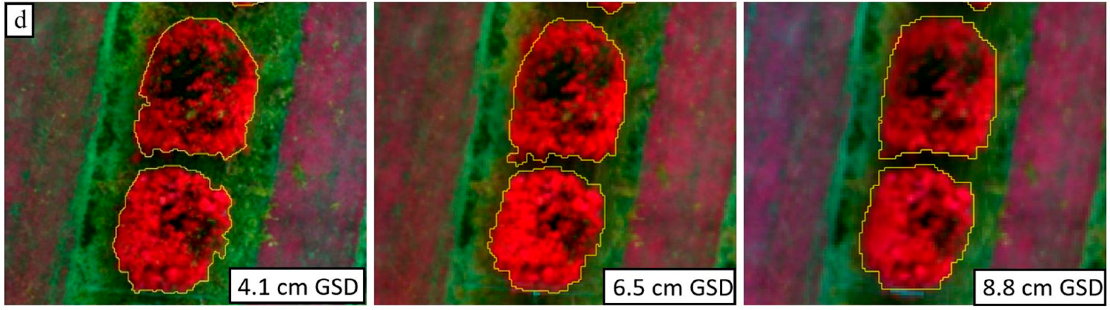 Remotesensing 10 00854 g008b Remotesensing 10 00854 g008b