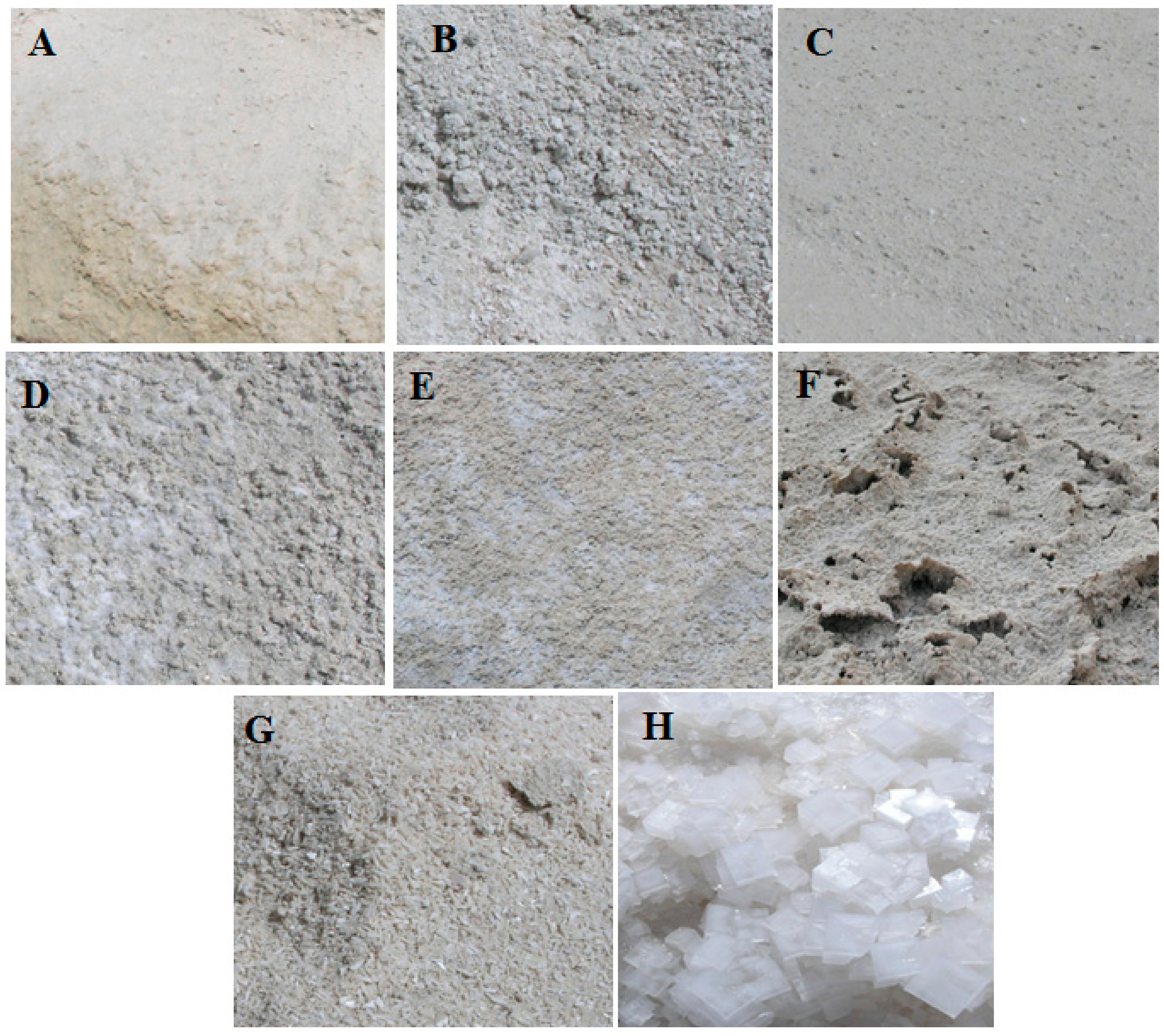 Remotesensing 10 00855 g004