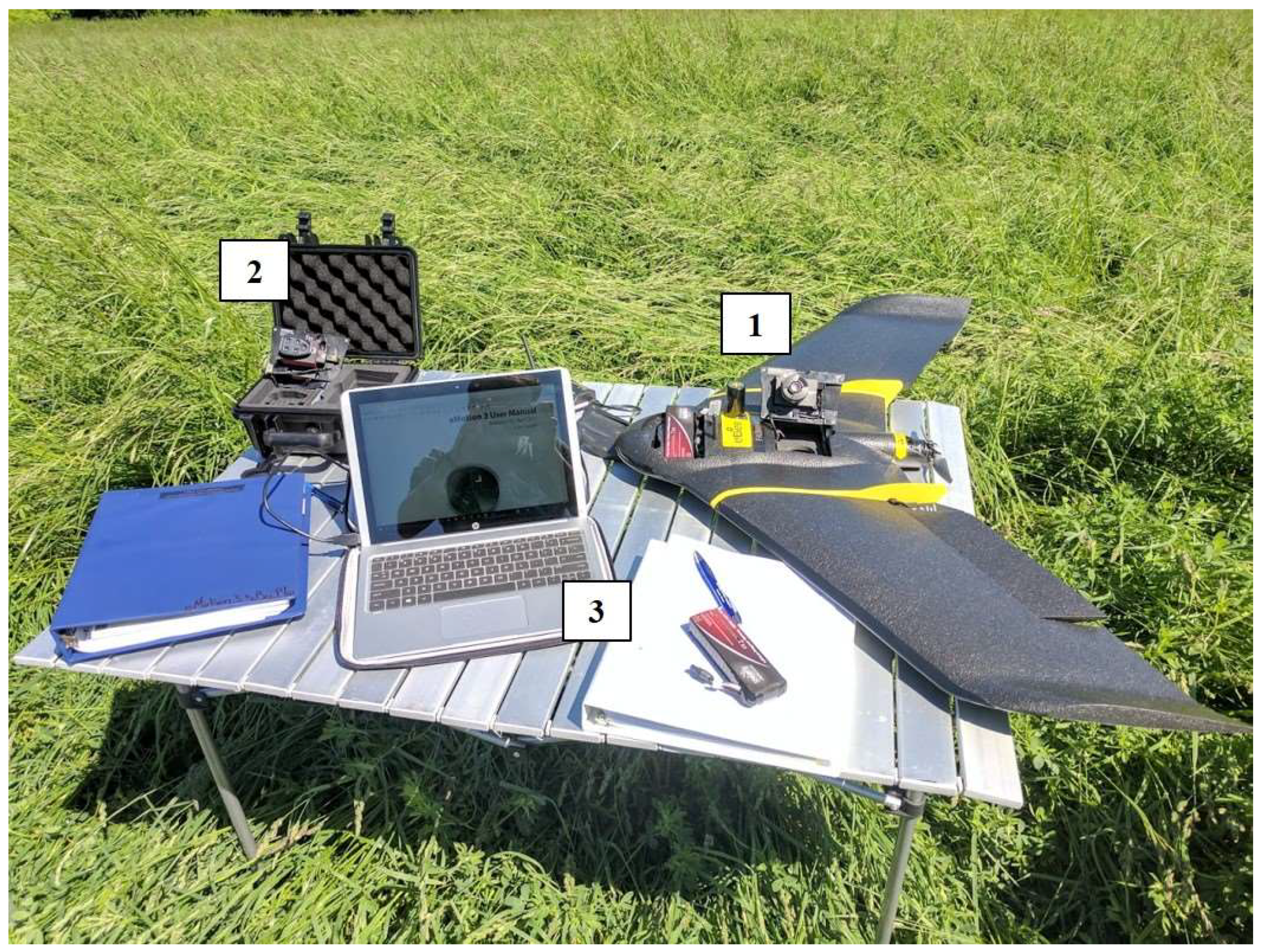 Remotesensing 10 00908 g002 Remotesensing 10 00908 g002