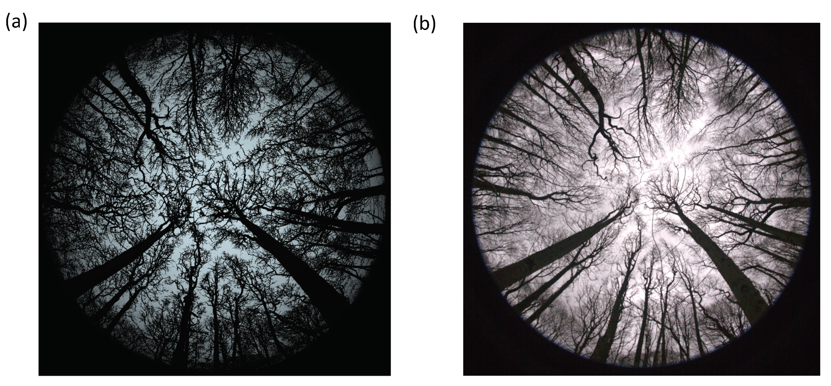 Remotesensing 10 00933 g006 Remotesensing 10 00933 g006