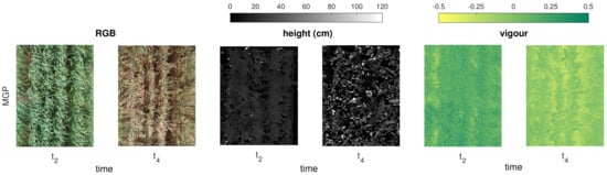 Remotesensing 10 00950 g0a2