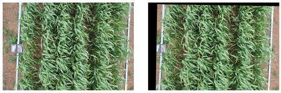 Remotesensing 10 00950 g0a5