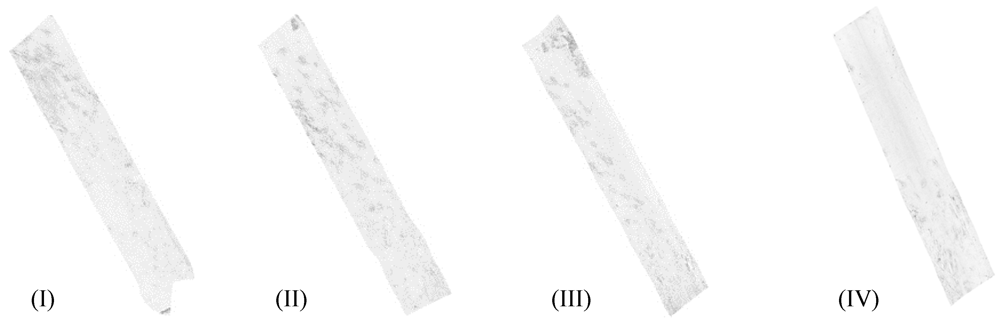 Remotesensing 10 00953 g004 Remotesensing 10 00953 g004