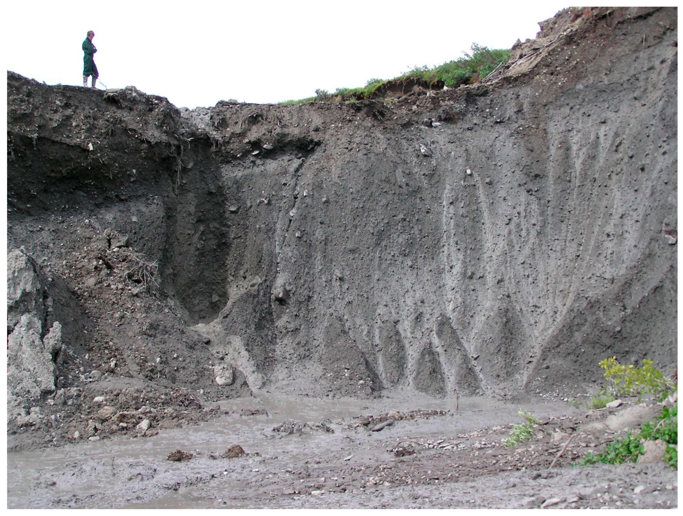 Remotesensing 10 00983 g006