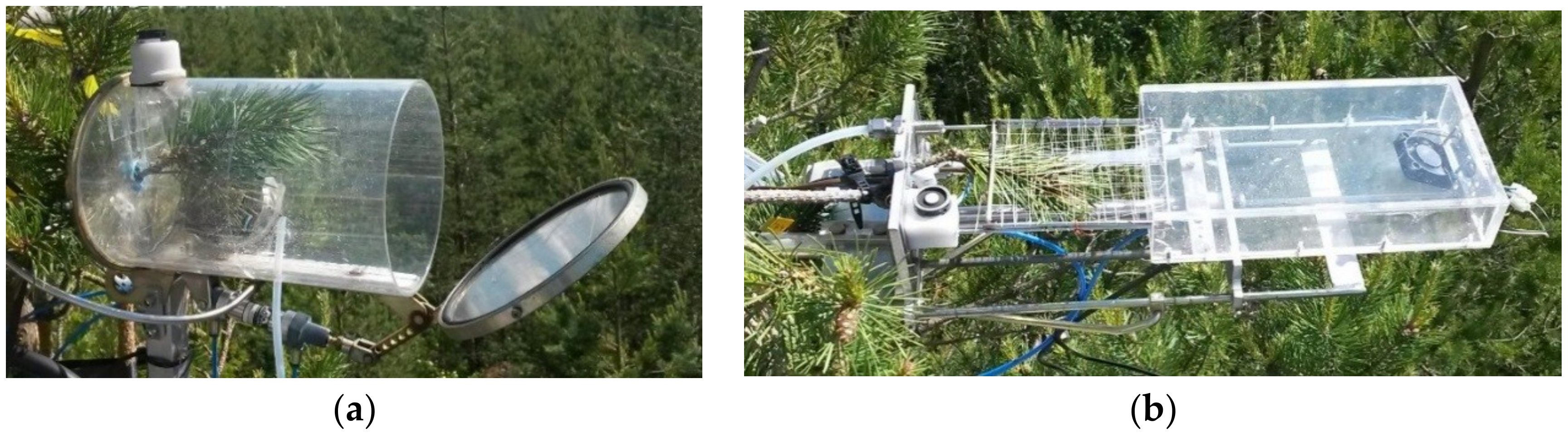 Remotesensing 10 01019 g001