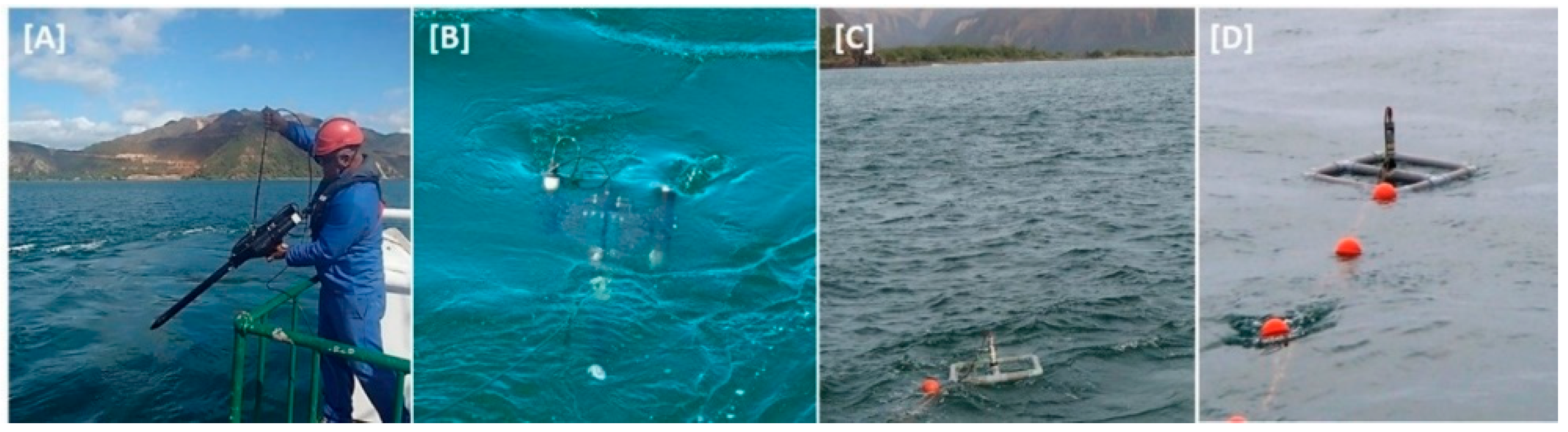 Remotesensing 10 01043 g002