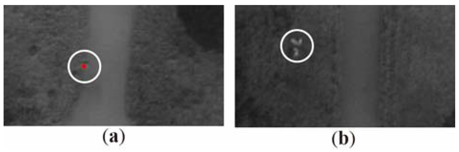 Remotesensing 10 01050 g010