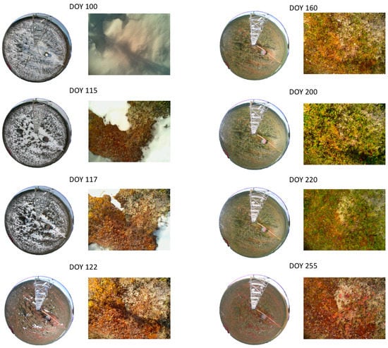 Remotesensing 10 01071 g0a1