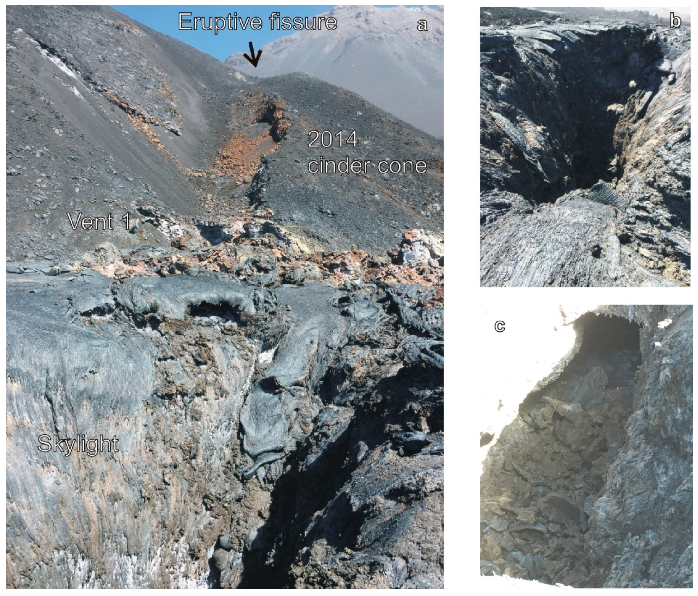 Remotesensing 10 01115 g004