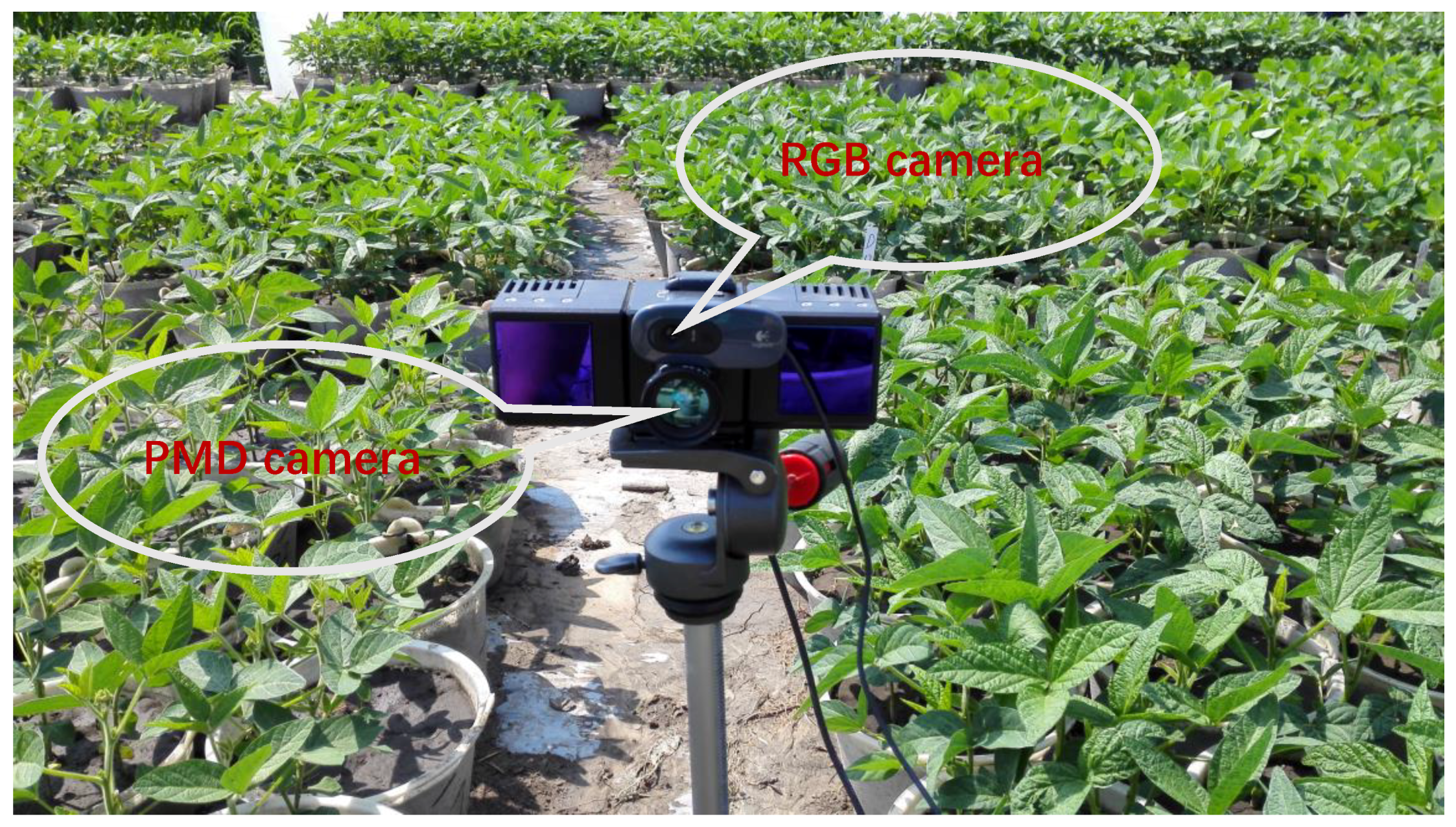 Remotesensing 10 01206 g002 Remotesensing 10 01206 g002