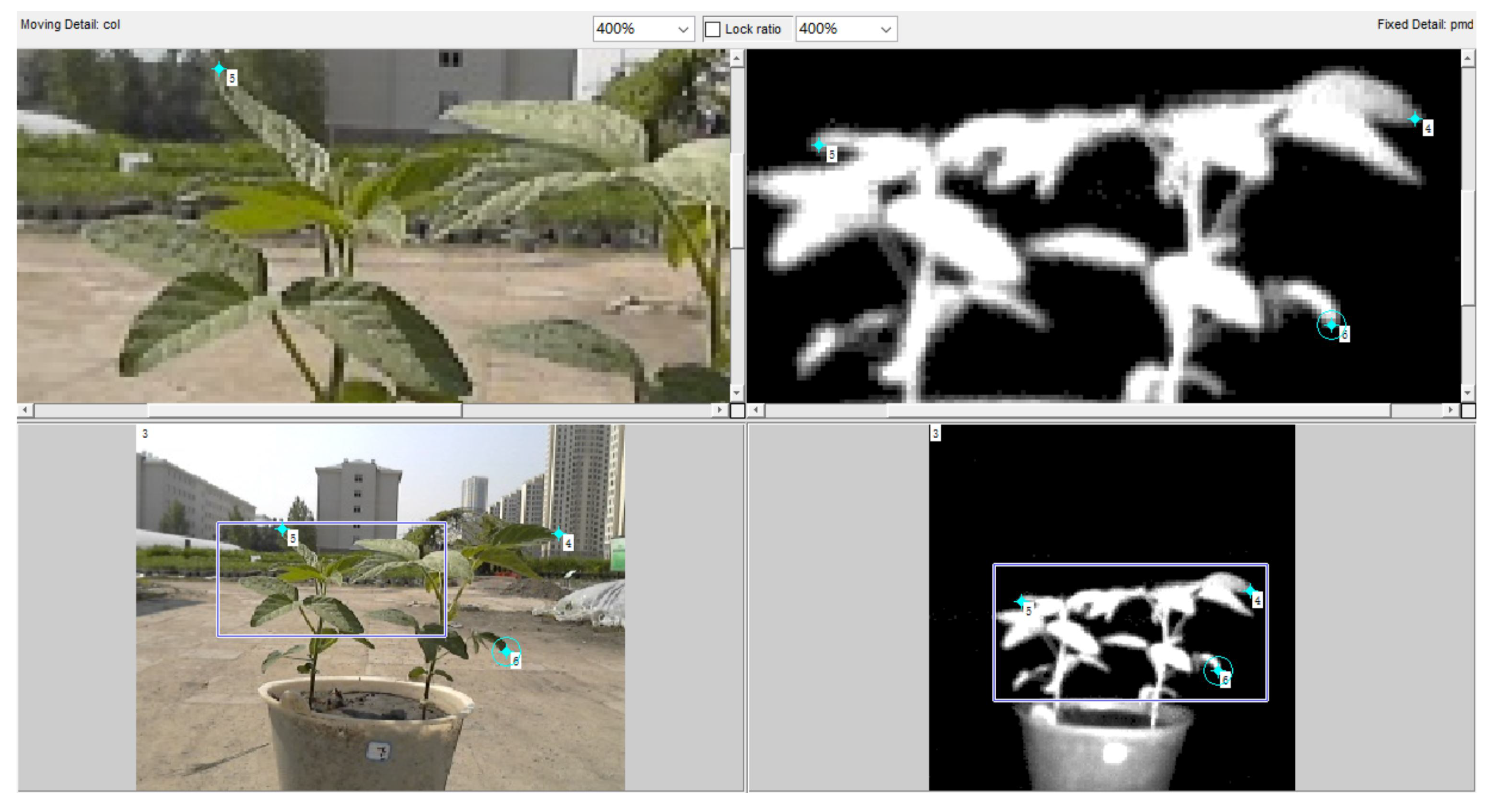 Remotesensing 10 01206 g007 Remotesensing 10 01206 g007