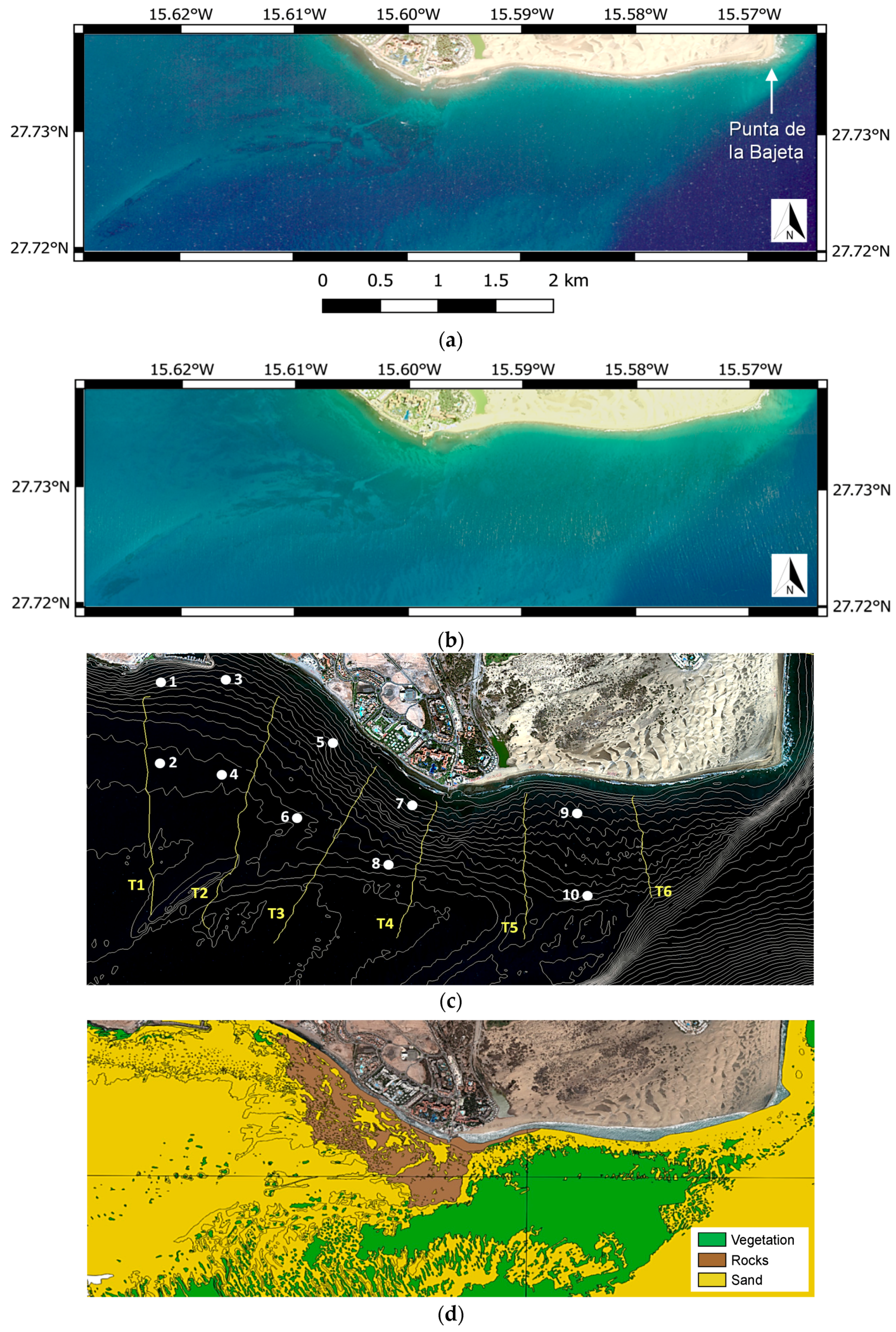 Remotesensing 10 01208 g002