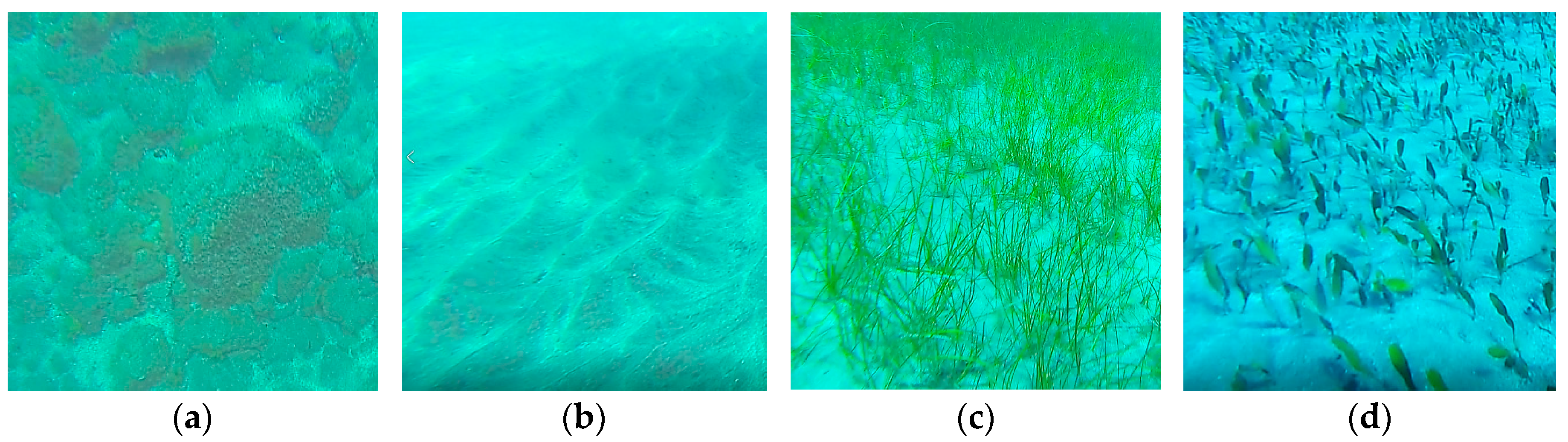 Remotesensing 10 01208 g003