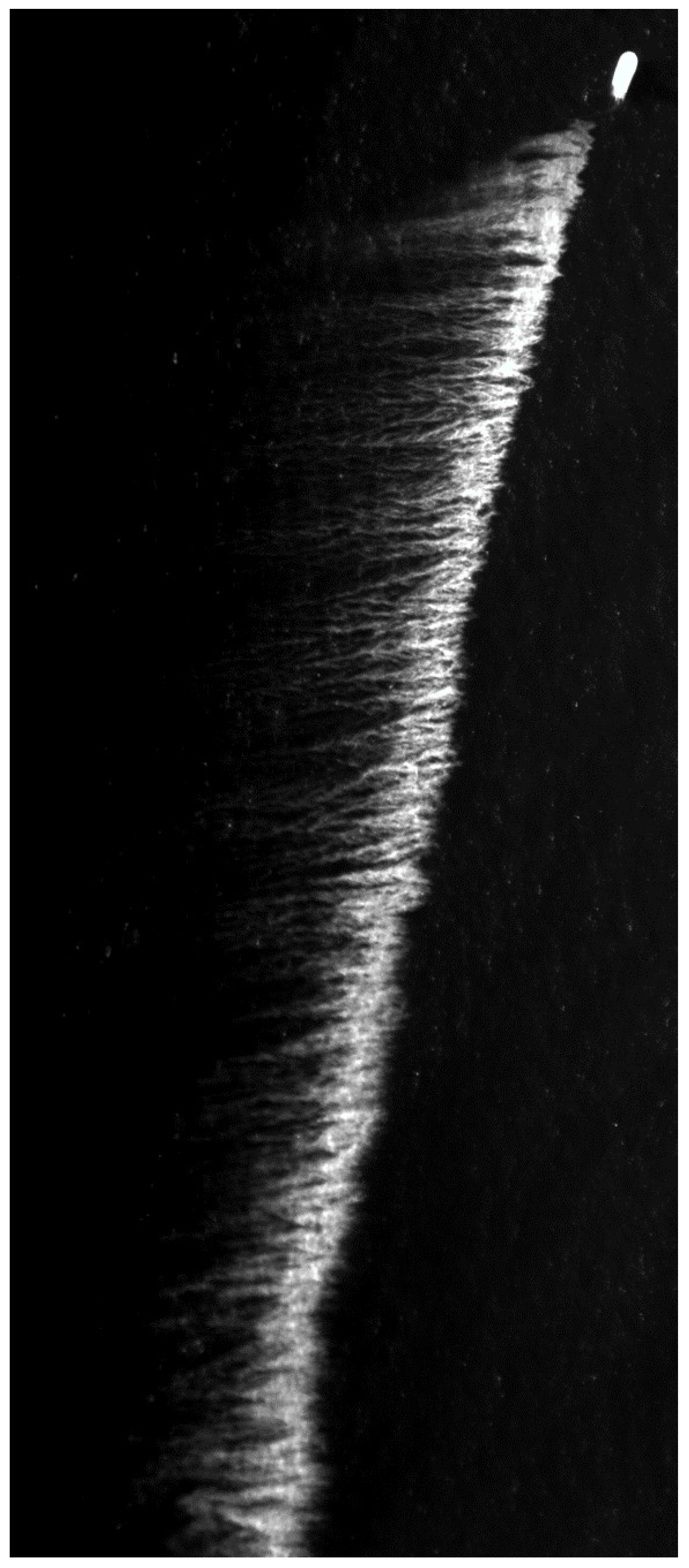 Remotesensing 10 01224 g002