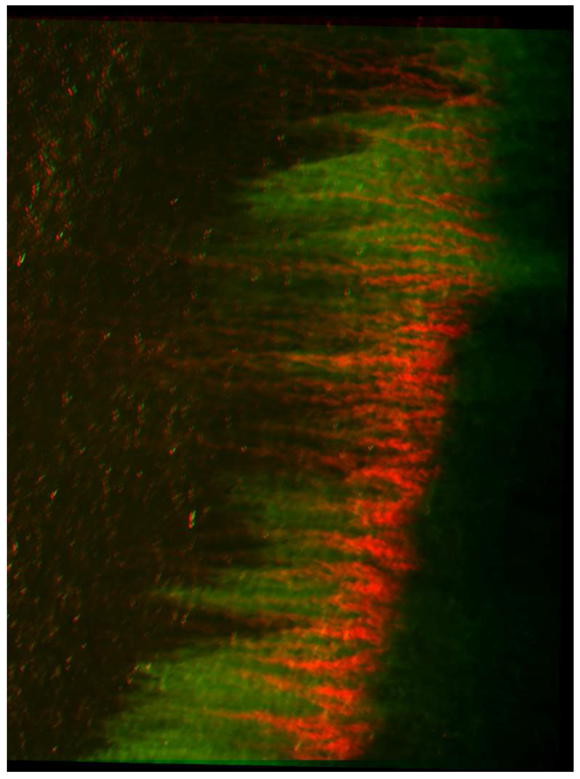 Remotesensing 10 01224 g003