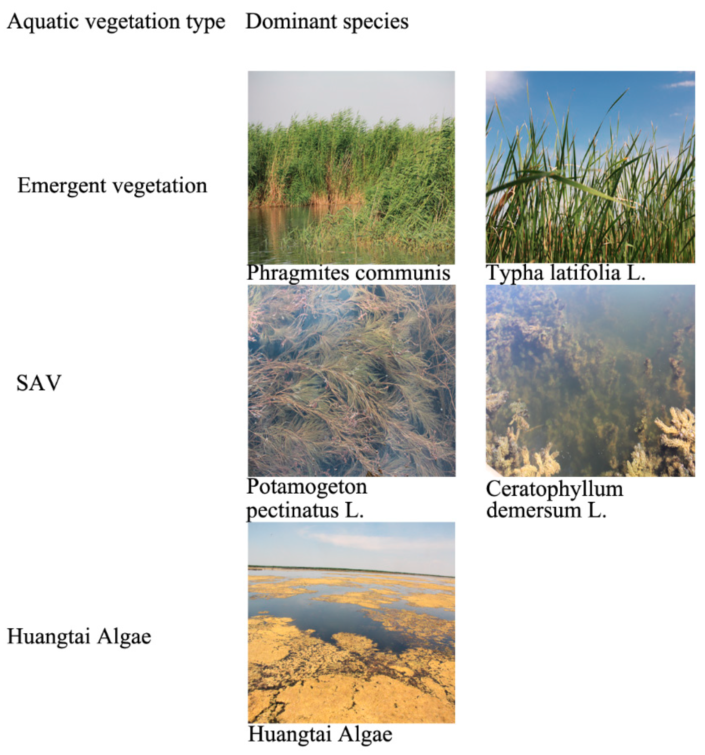 Remotesensing 10 01279 g001