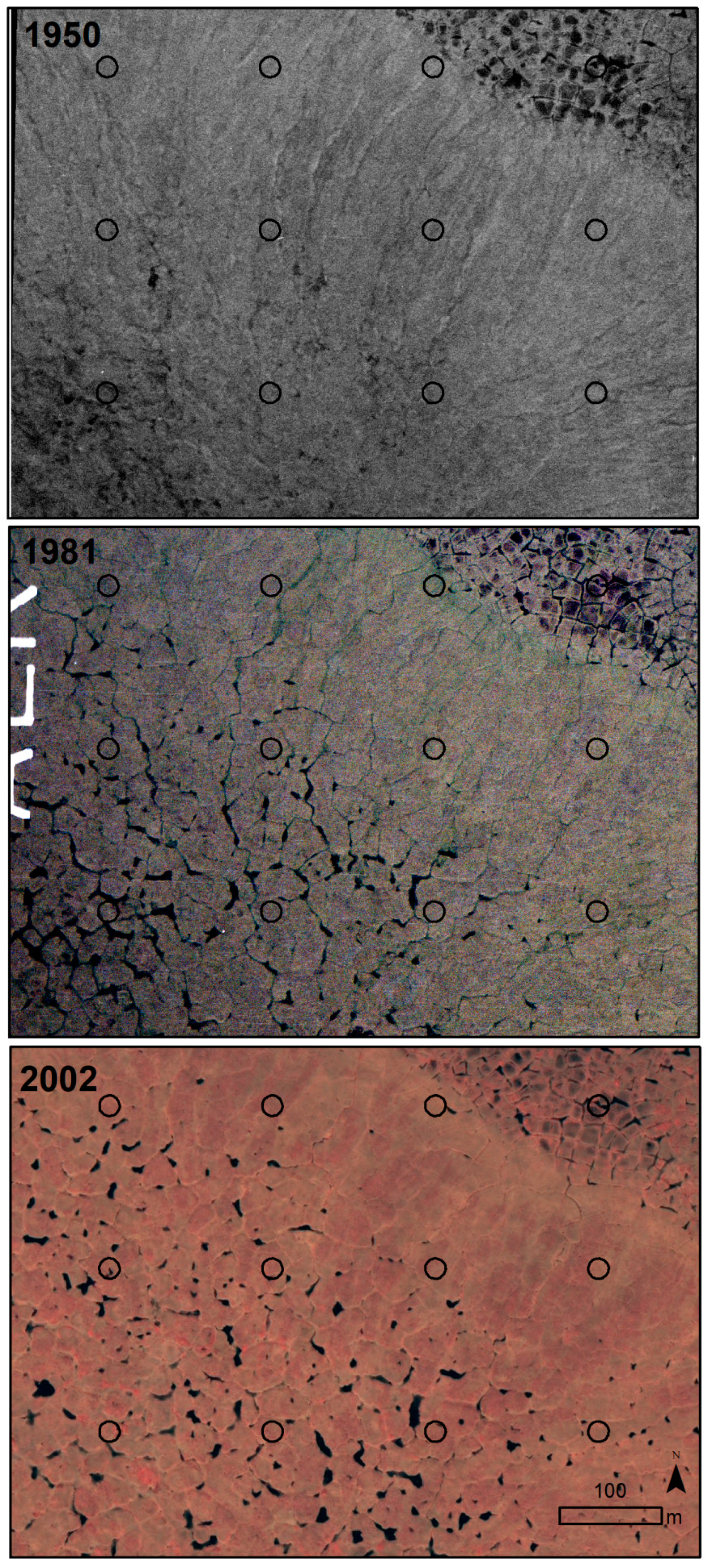 Remotesensing 10 01305 g009