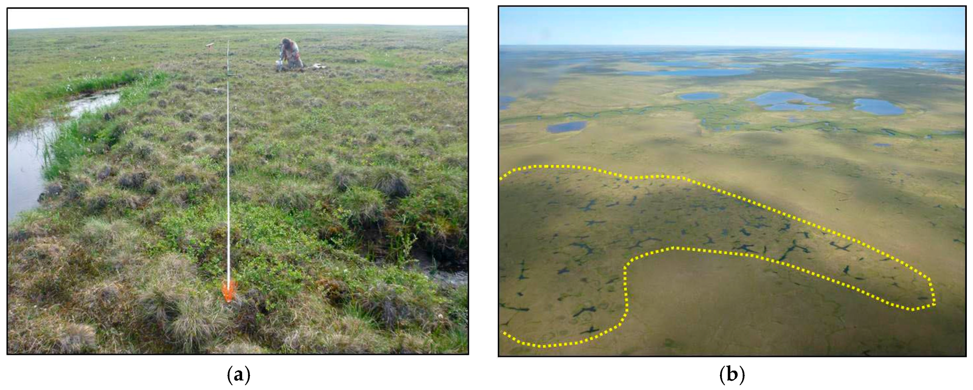 Remotesensing 10 01312 g001