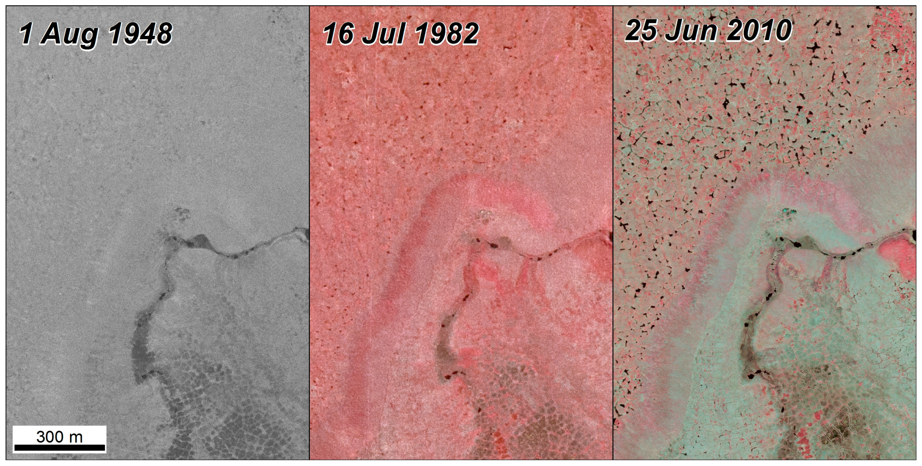 Remotesensing 10 01312 g004