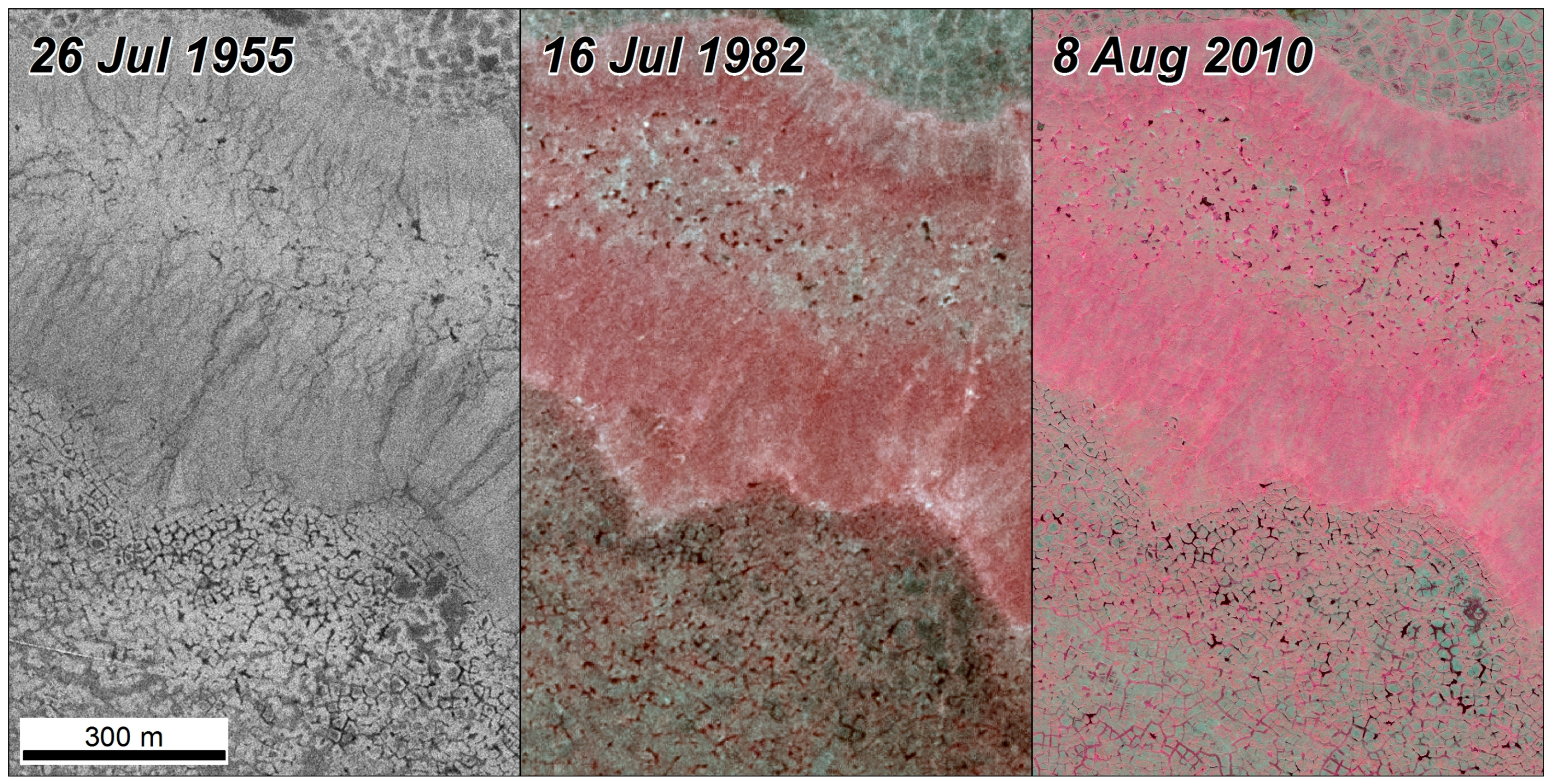 Remotesensing 10 01312 g005