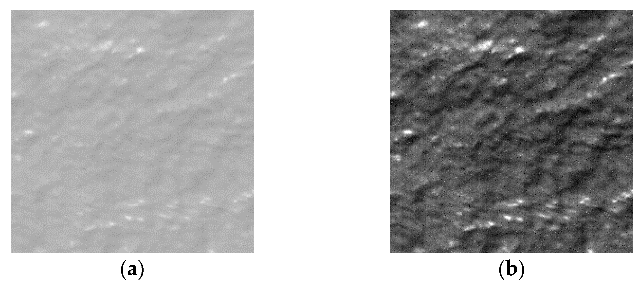 Remotesensing 10 01313 g001