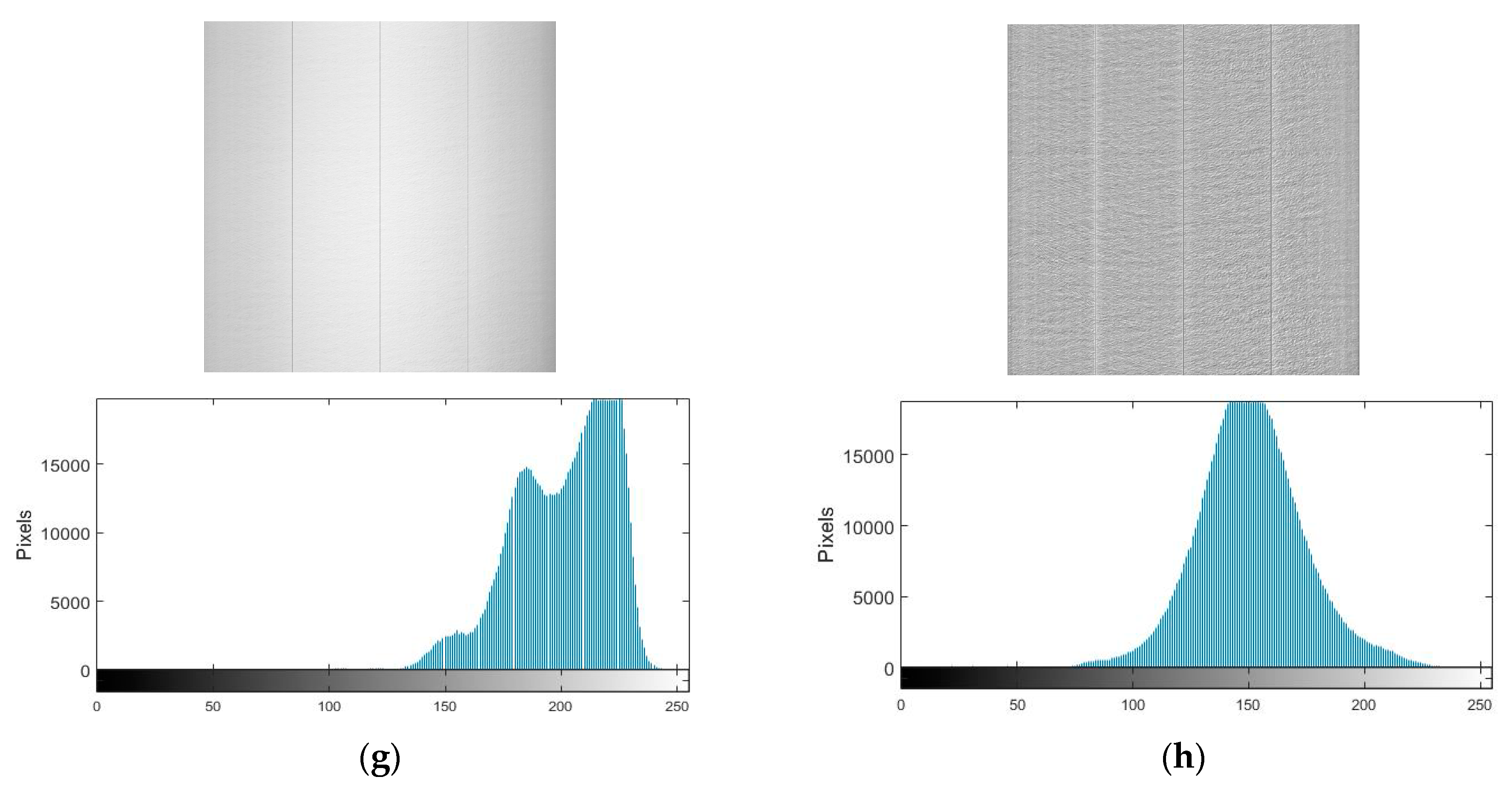 Remotesensing 10 01313 g006b
