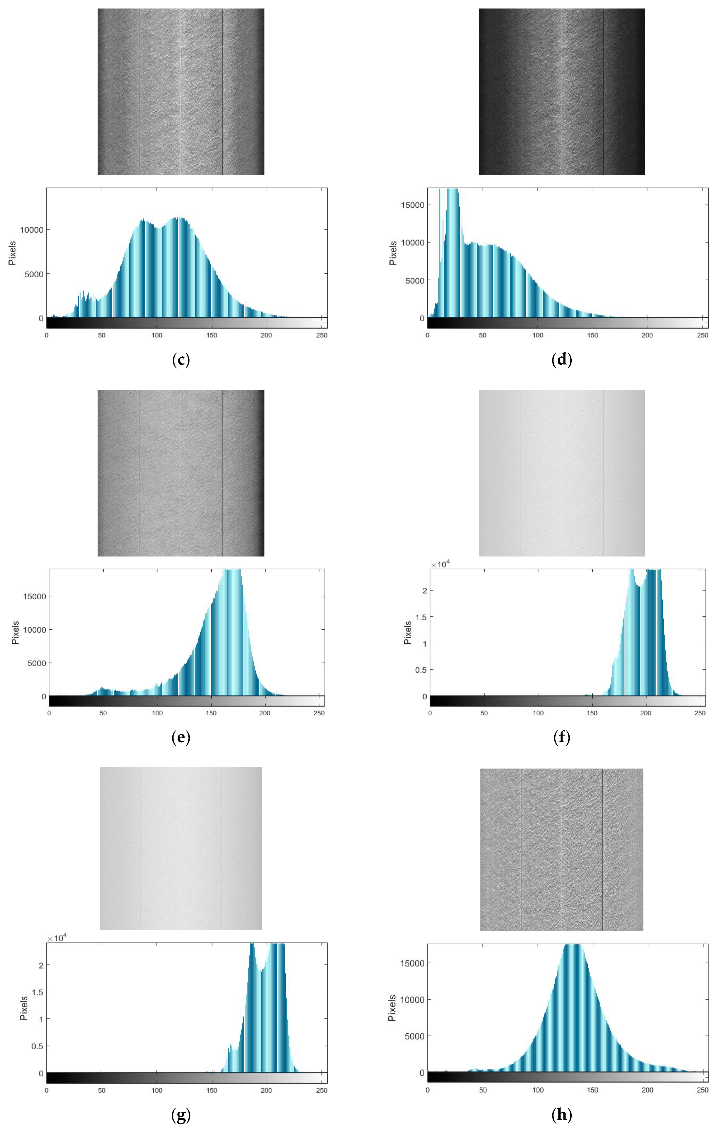 Remotesensing 10 01313 g007b