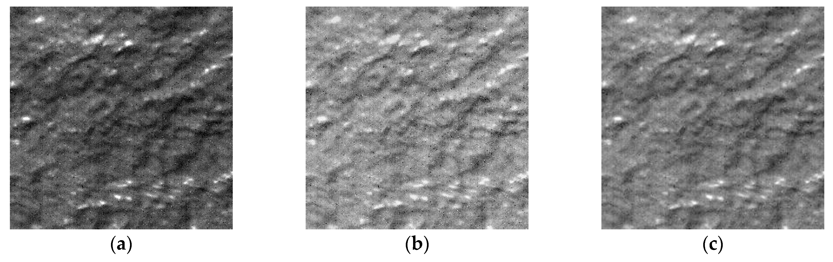 Remotesensing 10 01313 g010