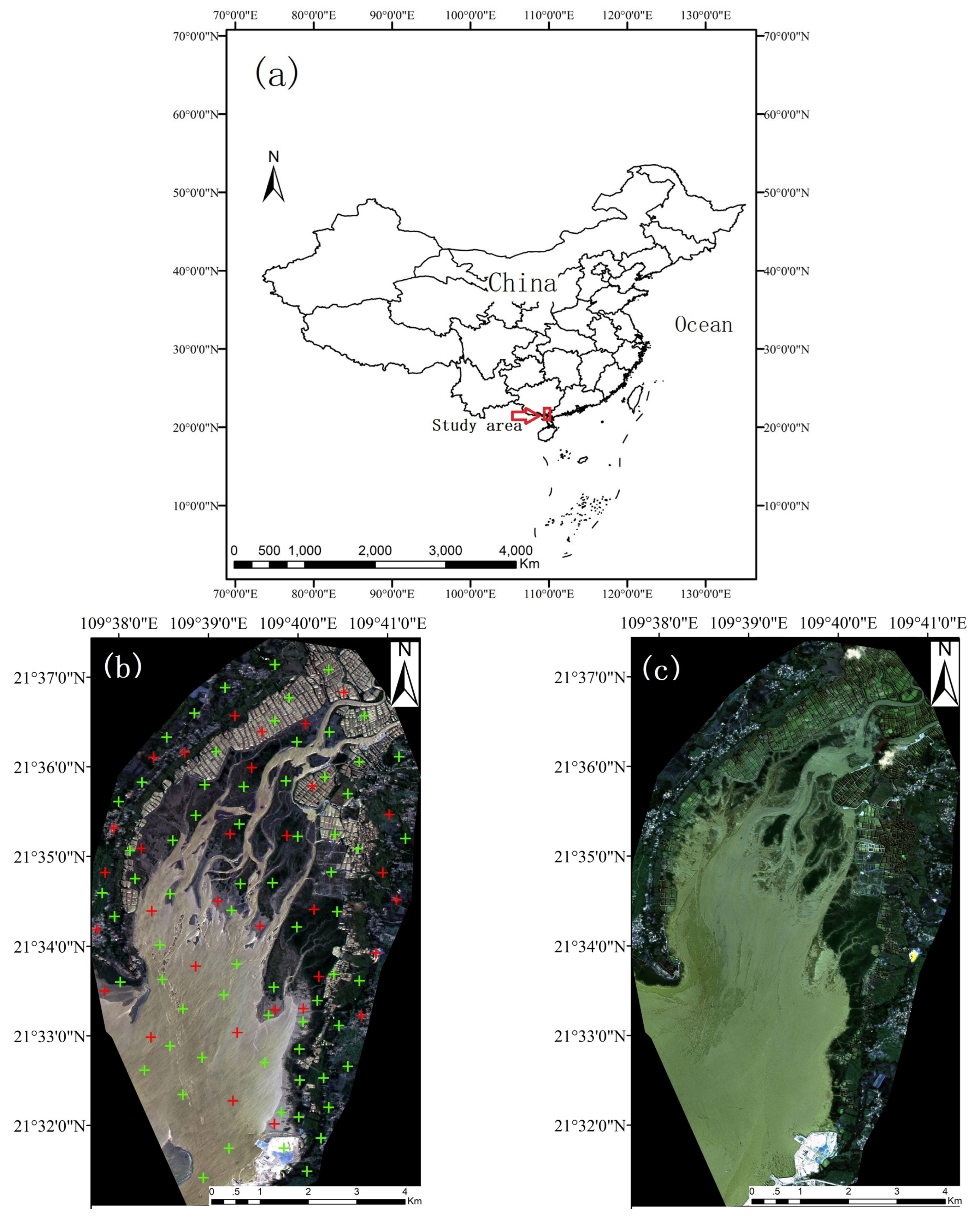 Remotesensing 10 01343 g003 Remotesensing 10 01343 g003