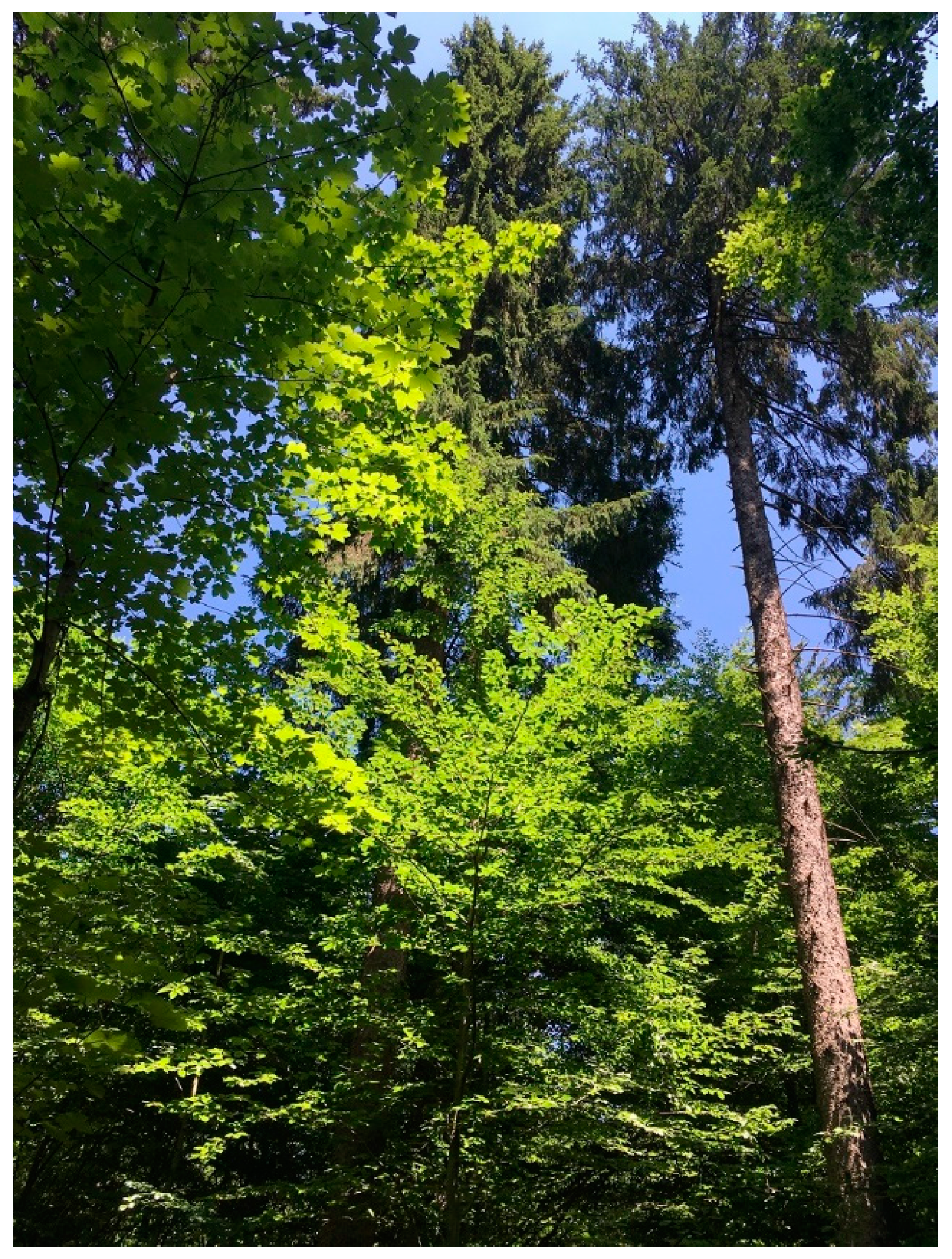 Remotesensing 10 01419 g012 Remotesensing 10 01419 g012