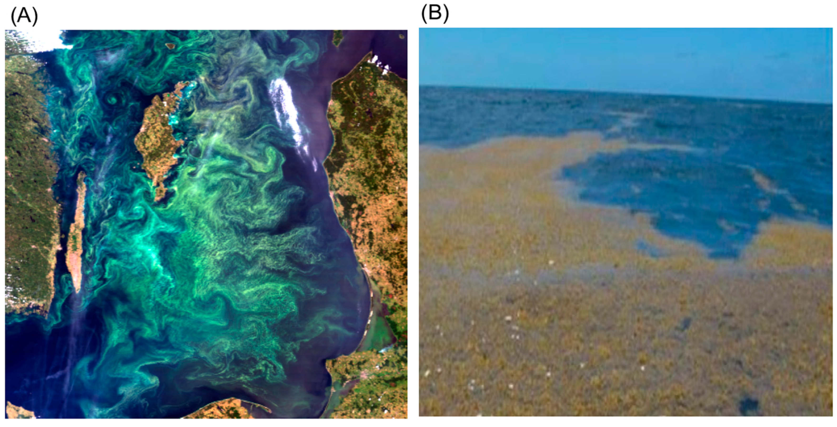 Remotesensing 10 01421 g001