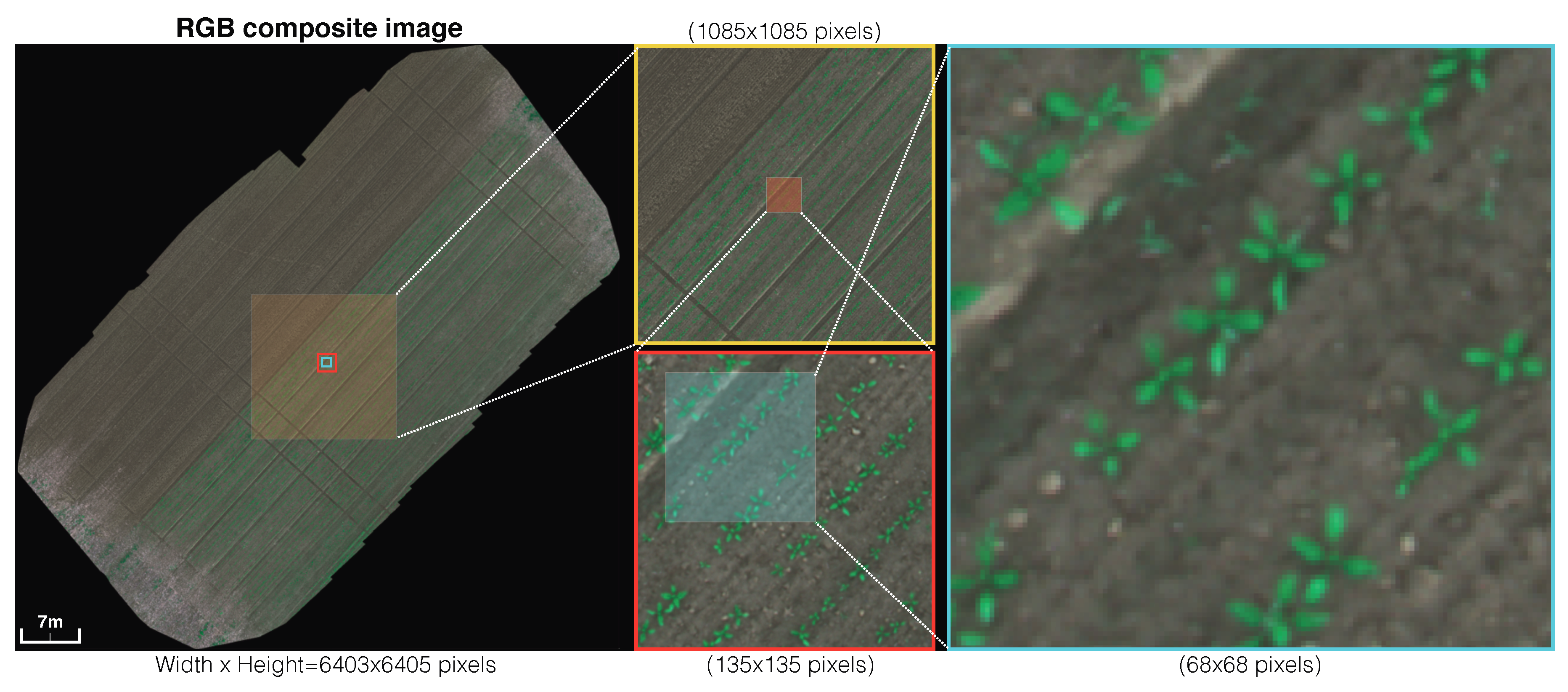 Remotesensing 10 01423 g005