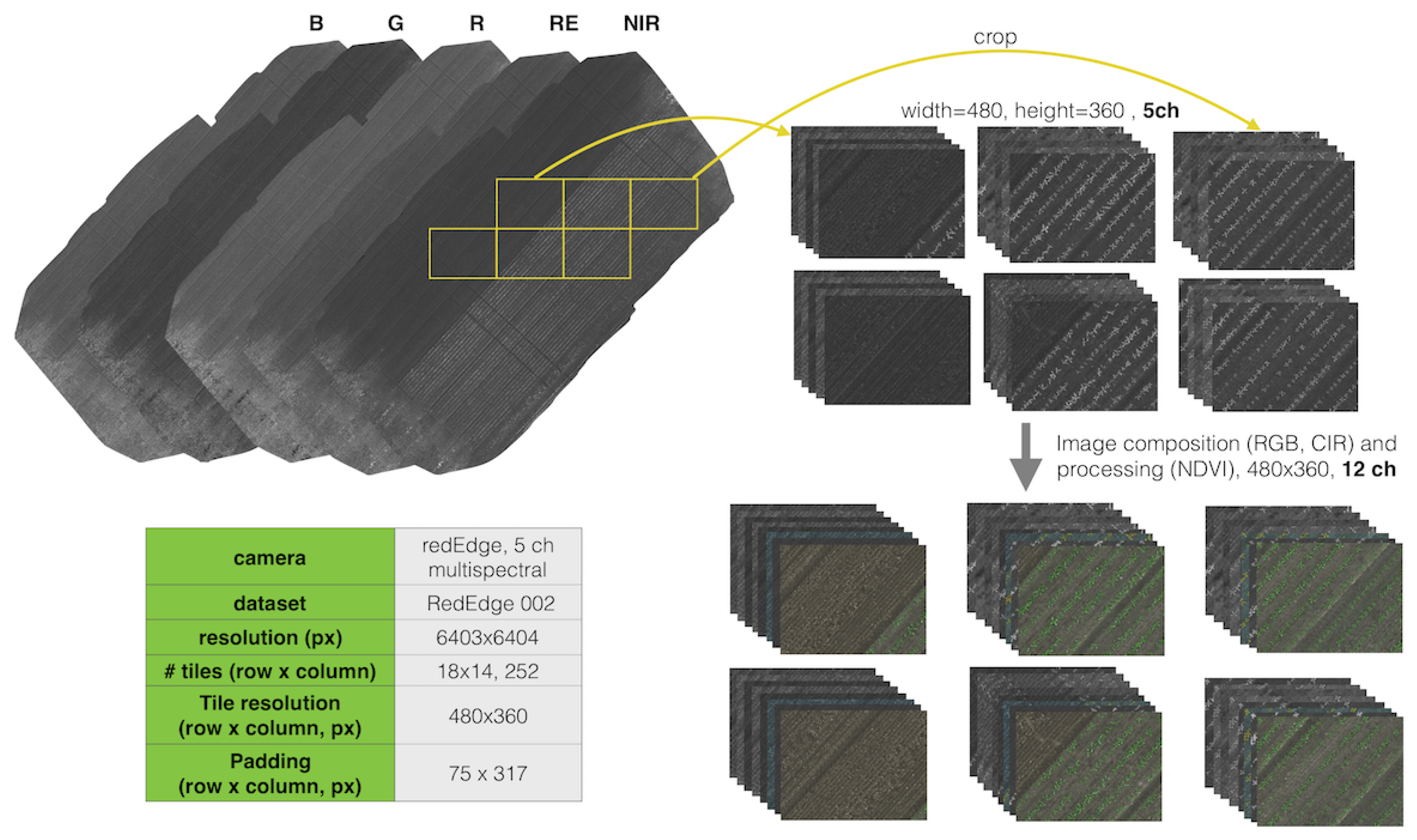 Remotesensing 10 01423 g006